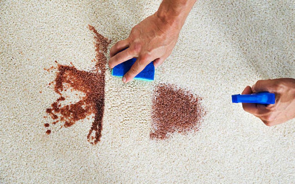 A person using a carpet cleaning machine on a rug